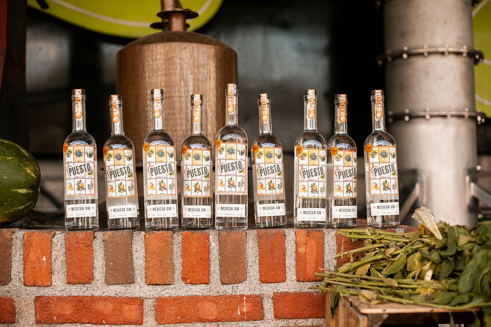 Puesto Mexican Gin bottles at the distillery
